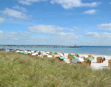 Ein Sandstrand mit Strandkörben und einem blauen Himmel.