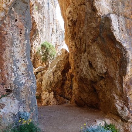 Hvar Felsen Pfad