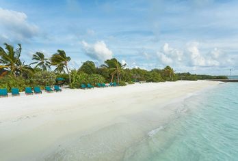 Hotel, Canareef Resort Maldives