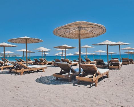 Costa Lindia Blue Star-1