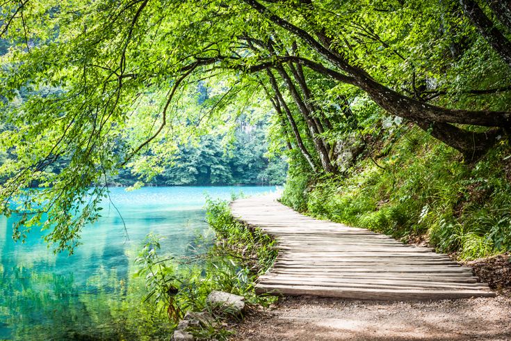 Ein großer Wasserfall, der in mehrere Stufen über Felsen fließt, umgeben von üppiger Vegetation.