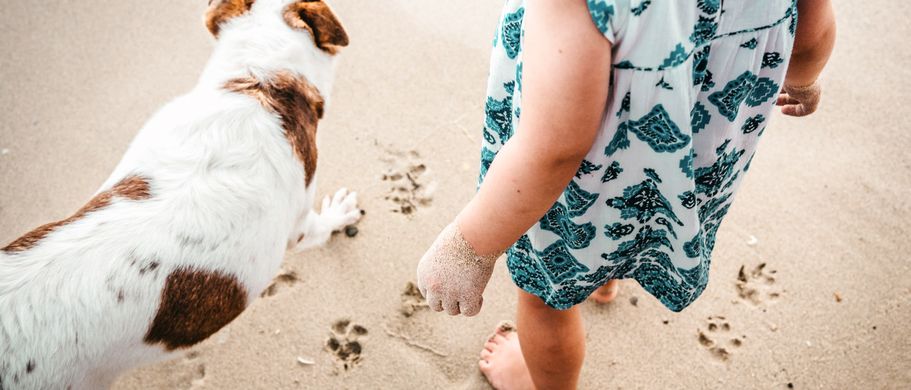 Familienurlaub Hund Kroatien Kind und Hund am Strand