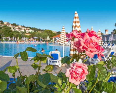 Hedera Hotel-2