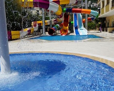 Kleopatra Royal Palm-2