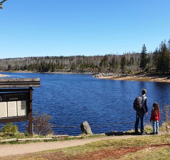 Vater mit Kind wandert am Oderteich im Harz