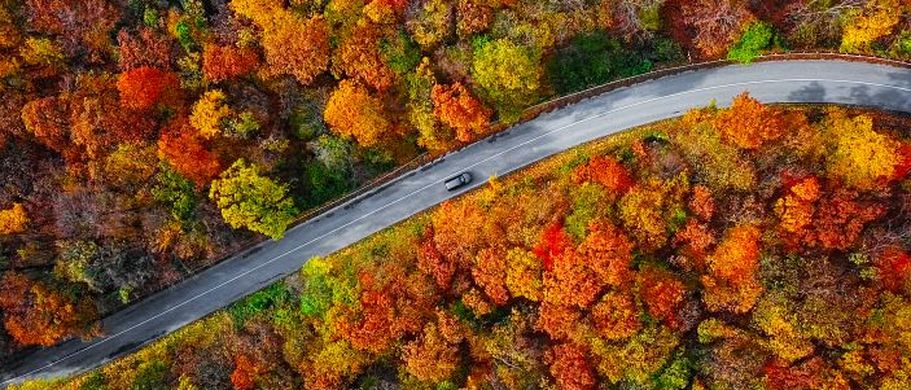 Indian Summer Straße durch Wald