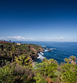 Bucht auf Teneriffa mit Blick über satte grüne Palmen