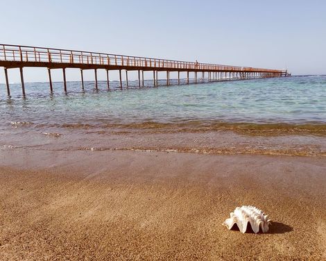 Lazuli Hotel Marsa Alam-1