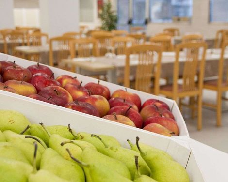 ALEGRIA Fenals Mar-3