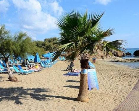 Zorbas Lifestyle Hotel-1