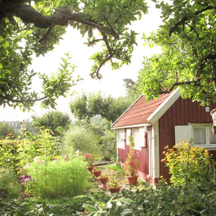 Ferienhaus Urlaub Schweden Haus im Wald