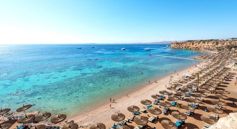 Reef Oasis Beach Resort