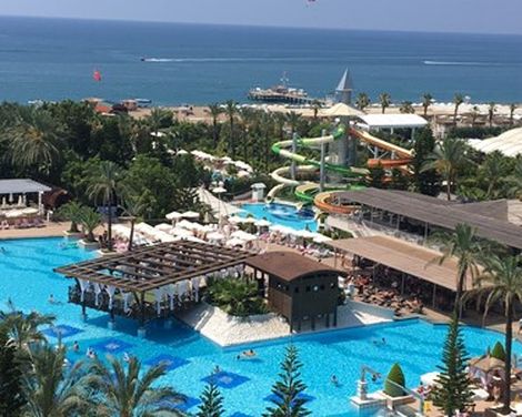 Delphin Diva-3