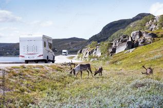 Ein Nordis-Wohnmobil fährt auf einer asphaltierten Straße durch eine grüne, hügelige Landschaft, umgeben von Bäumen und einem weiten, bewölkten Himmel.