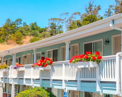 Bluebird Inn-4
