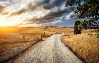 Ein Feldweg schlängelt sich durch eine weite, offene Landschaft, die von der untergehenden Sonne in warmes goldenes Licht getaucht wird. Ein einzelner Baum steht am Horizont.