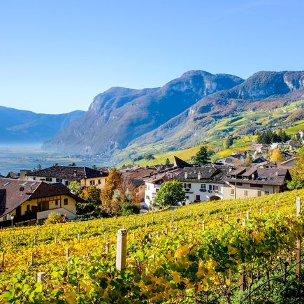 Italien und der gute Vino: Weinreben am Berg