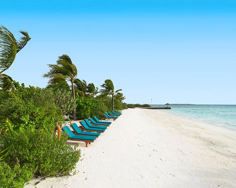 Canareef Resort Maldives-0