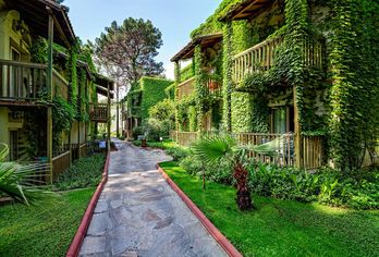 Hotel, Gypsophila Club Marine