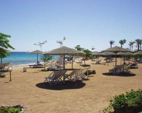Sea Garden-2
