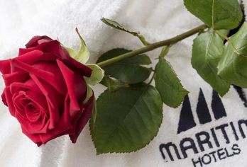 Hotel, Maritim Hotel München