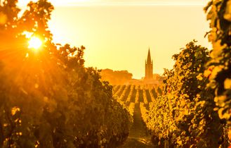 Bordeaux Wein Saint Emilion