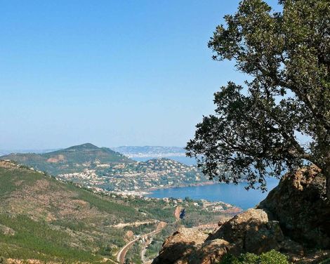 Novotel Suites Cannes Centre-3