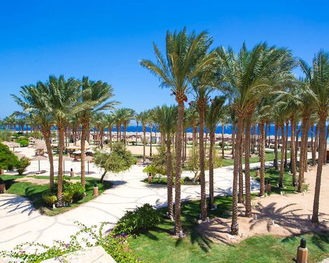 The Grand Makadi Hotel-2