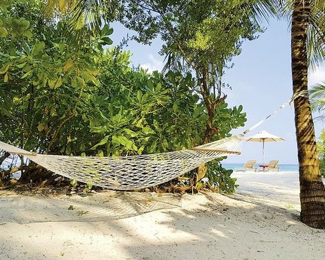 The Barefoot Eco Hotel-2