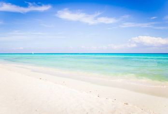 The Reef Playacar Beach Resort & Spa