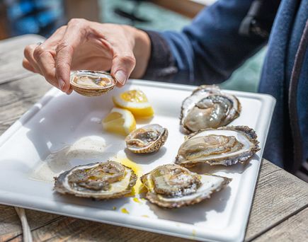 Eine Platte mit Austern.