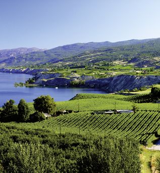 Weiter Blick über grümne LAndschaft in KAnada