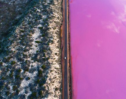 Hutt Lagoon rosafarbener  Salzsee
