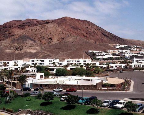 Palmeras Garden-4
