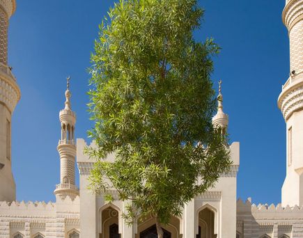Moschee Sonne