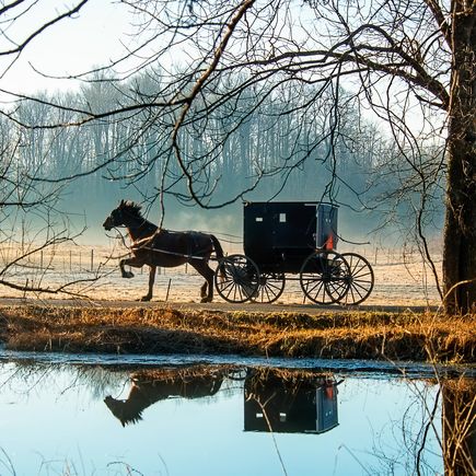 Kutsche Amish Country