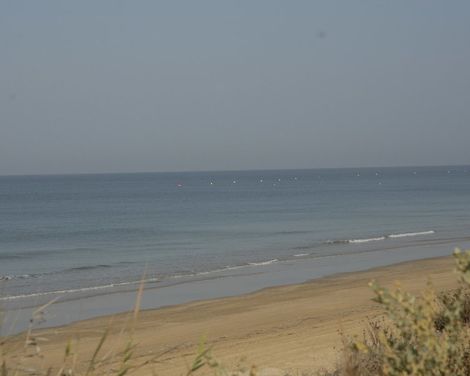 Playaballena-1