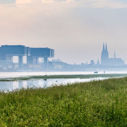 Rhein