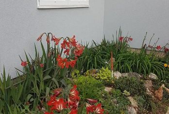 Hotel, Apartmani Luma