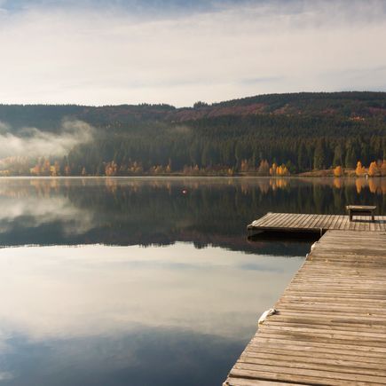 Urlaub im deutschen Mittelgebirge Schwarzwald Anleger am Schluchsee