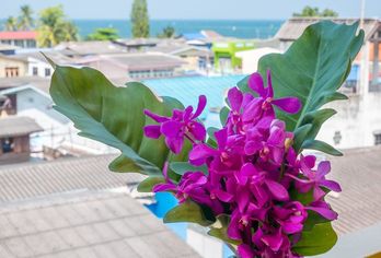 Hotel, Chomsin Hua Hin