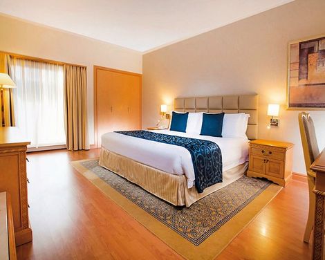 Millennium Plaza Downtown Hotel-2