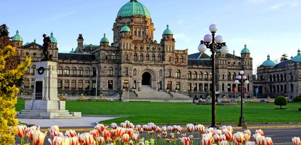 Blick auf das Parlamentsgebäude in Victoria. Dafür eine riesige Grünfläche und davor viele bunt blühende Tulpen. Blauer Himmel.