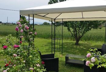 Hotel, B&B Le Rose