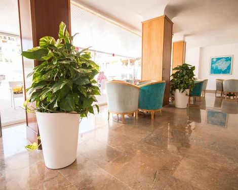 Hotel Amic Miraflores-3