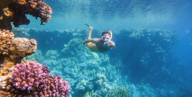 Eine Unterwasseransicht eines Korallenriffs mit bunten Fischen.