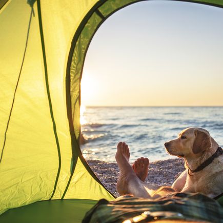 Camping am Strand mit Hund