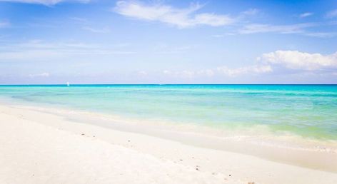 The Reef Playacar Beach Resort & Spa
