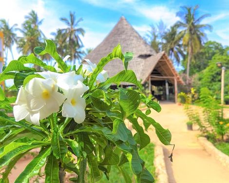 Reef & Beach Resort-2