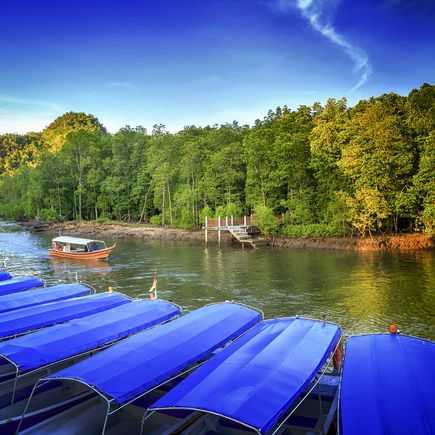 Bootstour durch die Mangrovenwälder von Langkawi